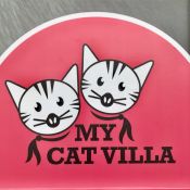 https://www.facebook.com/mycatvilla